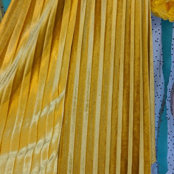 Elegant Gold Pleated Skirt - Picture 3 of 11